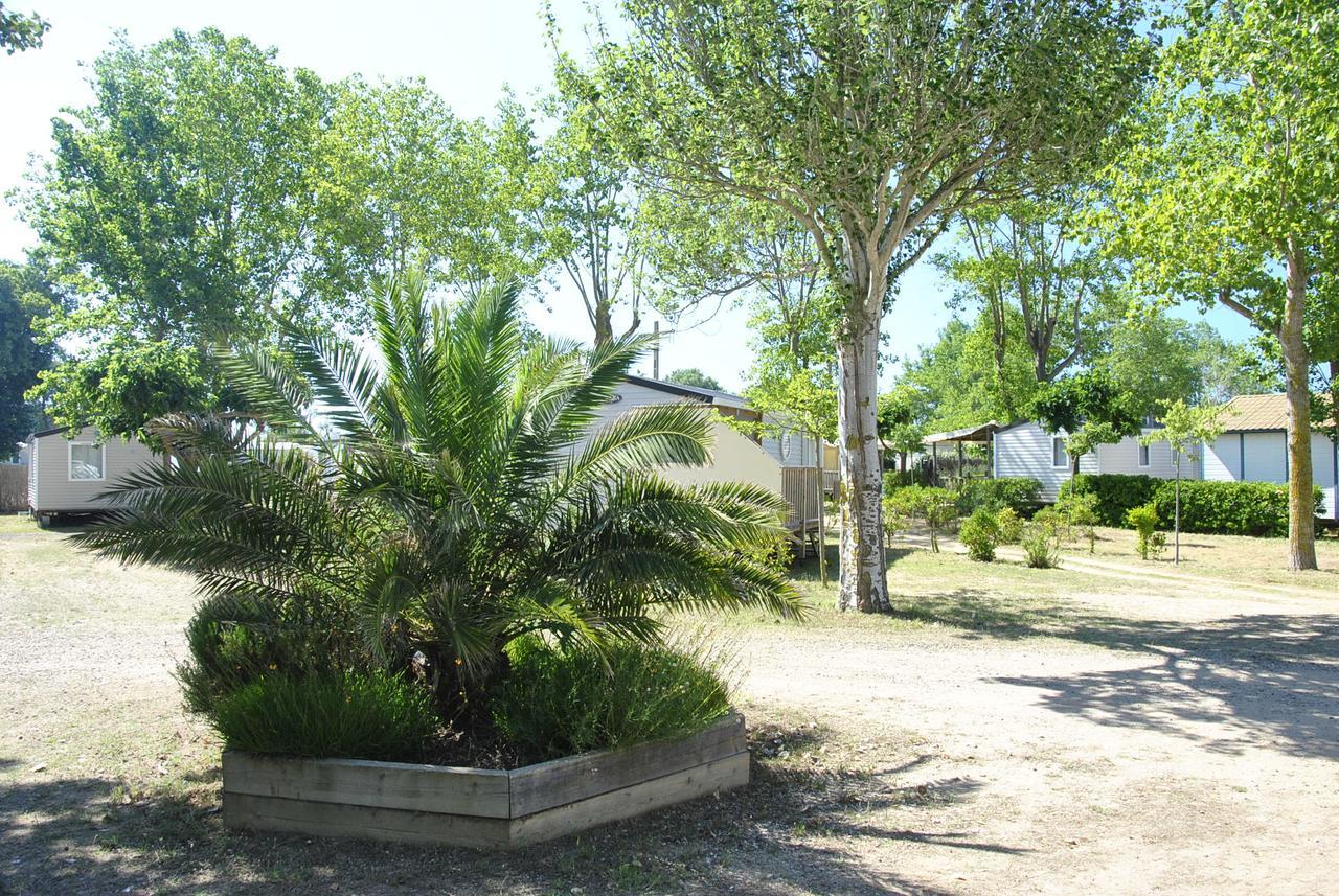 Campingplatz La Dune 3*